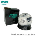 【STORM】 チームストーム ミニクリアボール ボウリング ミニチュア ボール 【数量限定】