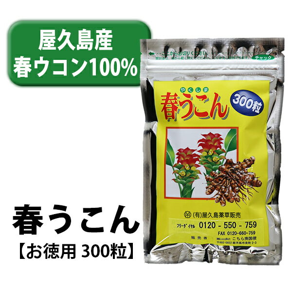 春ウコン100【お得用・300粒入り】精油成分 ミネラル 食物繊維 ウコンサプリ ウコン サプリメント 大容量 まとめ買い お買い得 お得サイズ