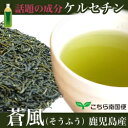 ケルセチン高含有煎茶・ケルセチンスーパー緑茶蒼風【そうふう】ティーパックタイプ3g×17包ケルセチン配糖体、鹿児島県産お茶【送料無料】 その1