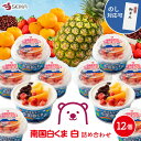 ギフト アイスクリーム ギフト アイスクリーム 詰め合わせ 送料無料 南国白くま 白 12個 セット かき氷 母の日 父の日 お中元 お歳暮 プレゼント お祝い...