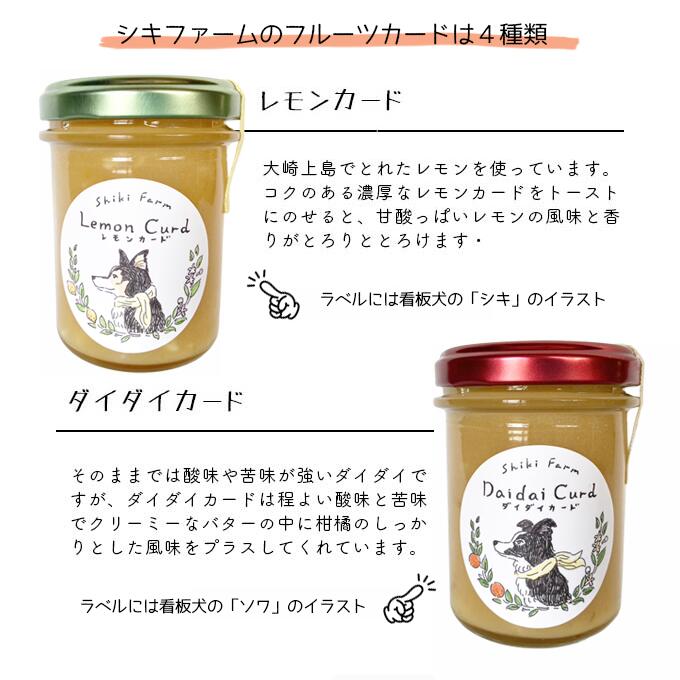 サンプル画像3