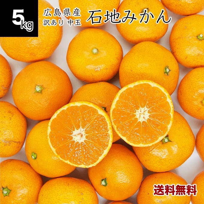 【送料無料】広島県産 訳あり石地みかん 中玉 5kg オトメさんの石地みかん S〜2Lサイズ混合 ご家庭用 産地直送 農家直送 いしじみかん ..