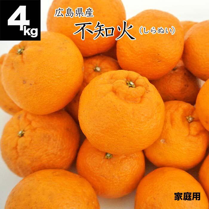 【送料無料】広島県産 不知火 4kg しらぬい サイズミックス ご家庭用 産地直送 オトメさんの不知火 ご家庭用 無選別