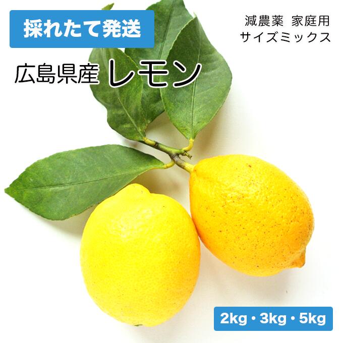 【送料無料】国産レモン 2kg 3kg 5kg 広島県産 減農薬 ふじたファームのとれたてレモン 無選別 家庭用 サイズミックス 採れたて 産地直..