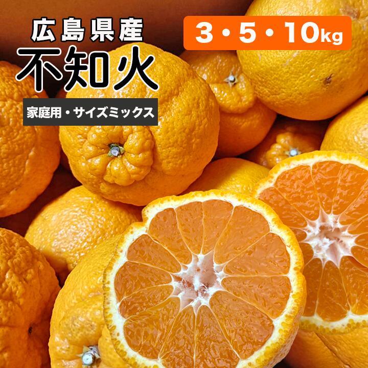 【送料無料】広島県 �