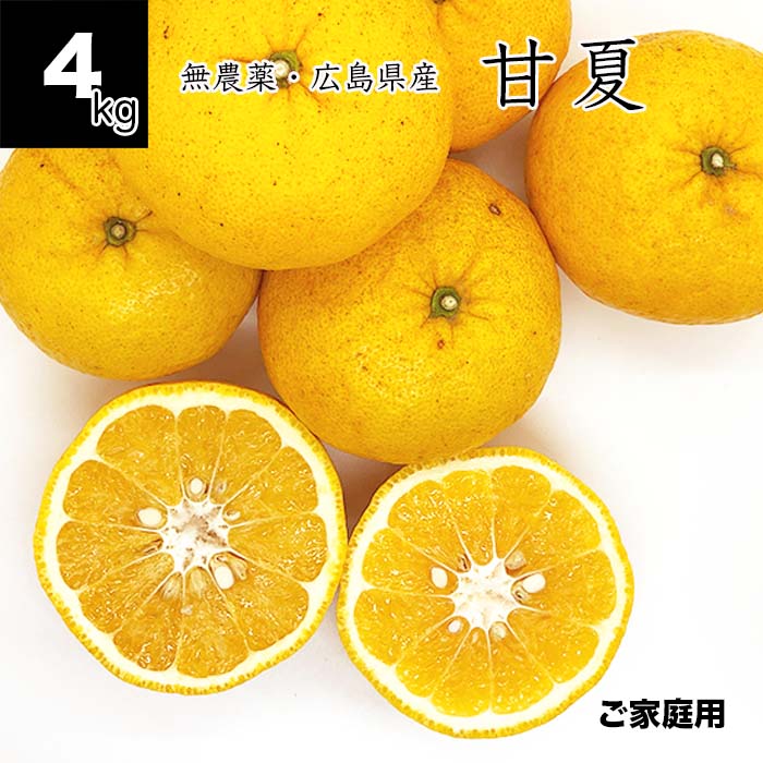 【送料無料】訳あり 甘夏 4kg 農薬不使用 広島県産 健ちゃんファームの農薬不使用甘夏 サイズミッ ...