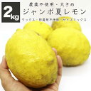 農薬不使用 ジャンボレモン 瀬戸内産 2kg広島県産 健ちゃんファームの瀬戸内レモン 約6~9個前後 ジャンボサイズ 国産レモン 瀬戸内レモン ノーワックス 防腐剤不使用 農家直送 産地直送 送料無料