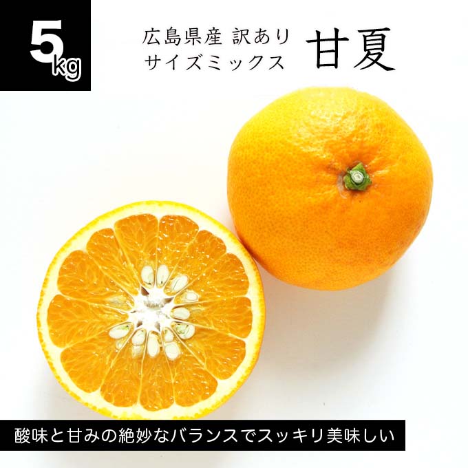 【送料無料】訳あり甘夏 5kg　広島県産 サイズミックス オトメさんの甘夏 あまなつ ナツミカン 夏みかん あまなつみかん