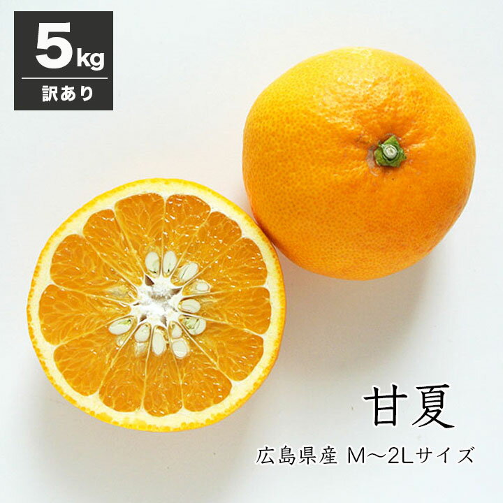【送料無料】訳あり甘夏 5kg　広島県産 サイズミックス オトメさんの甘夏 あまなつ ナツミカン 夏みかん あまなつみかん