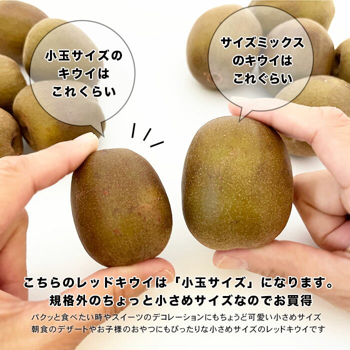 ������̵���۹��縩�� ��åɥ����� 1.8g 20��35������ �������ߥå���(����) ������ե������ ��åɥ����� ������ ����ľ�� ������ �������ե롼�� �Ť� ������