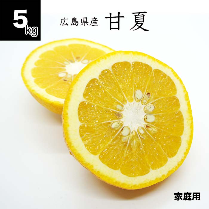 Amanatsu （Sweet Summer Orange） - 【送料無料】甘夏 5kg 家庭用 広島県産 農薬不使用 無選別 サイズミックス 徳さんの甘夏 あまなつ ナツミカン 夏みかん あまなつみかん
