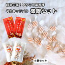 【岐阜県お菓子セット】岐阜 いちご 富有柿 半生キャラメル 地元食材使用 こだわり製法 やわらか食感 おやつ ご褒美 お配り用 岐阜県産苺使用 ソフトキャラメル...