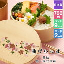 曲げわっぱ 弁当箱 お弁当箱 まげわっぱ 700ml 蒔絵 セット 大人 かわいい おしゃれ ゴム 仕切り 1段 遠足 運動会 軽量 女子 スリム 男子 男性 女性 メンズ 大容量 バンド わっぱ 日本製 洗いやすい 丸型 サンドイッチ 大きい 丸 深め