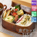曲げわっぱ わっぱ弁当箱 弁当箱 お弁当箱 まげわっぱ 700ml セット 大人 かわいい おしゃれ ゴム 仕切り 1段 遠足 運動会 軽量 女子 スリム 男子...