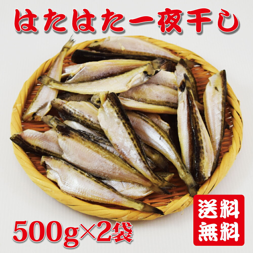 【送料無料】ハタハタ一夜干し1kg（500g2袋） 無頭ハタハタ 干しハタ 日本海産 干物 父の日 敬老の日 ギフト