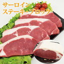 アメリカ産 サーロインステーキ1kg・サーロインブロック1kg【送料無料】　精肉　ステーキ　サーロインお肉 肉 高級 お取り寄せ お取り寄せグルメ 牛肉 サーロイン 美味しいもの おいしいもの ギフト 誕生日 内祝い 敬老の日