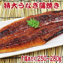 SALE 1尾あたり250-280g 特大うなぎ蒲焼きセット 訳あり 特製たれ & 山椒付