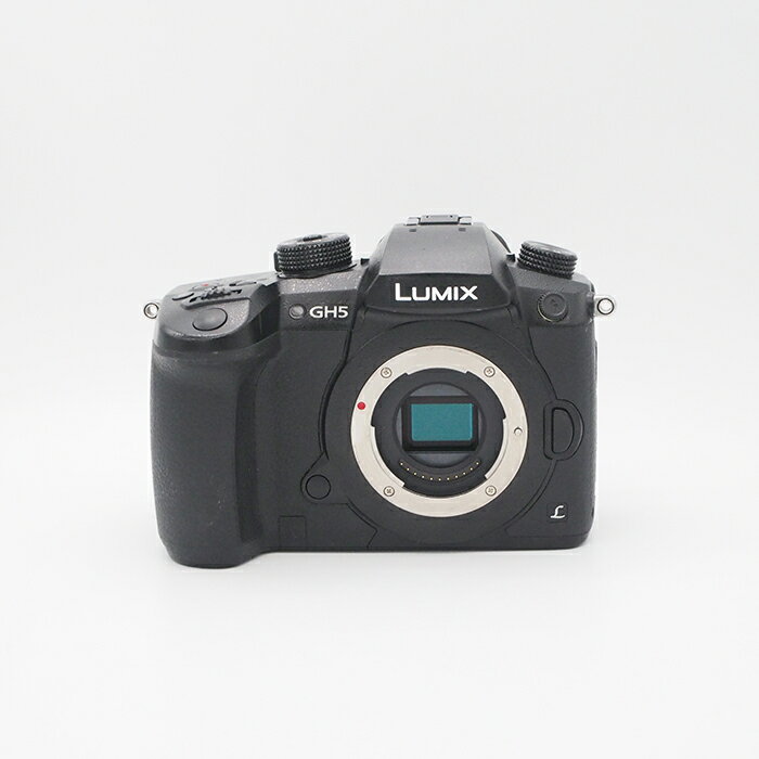 楽天市場】パナソニック ミラーレス一眼カメラ ルミックス gh5 楽天市場】パナソニック ミラーレス一眼カメラ ルミックス gh5