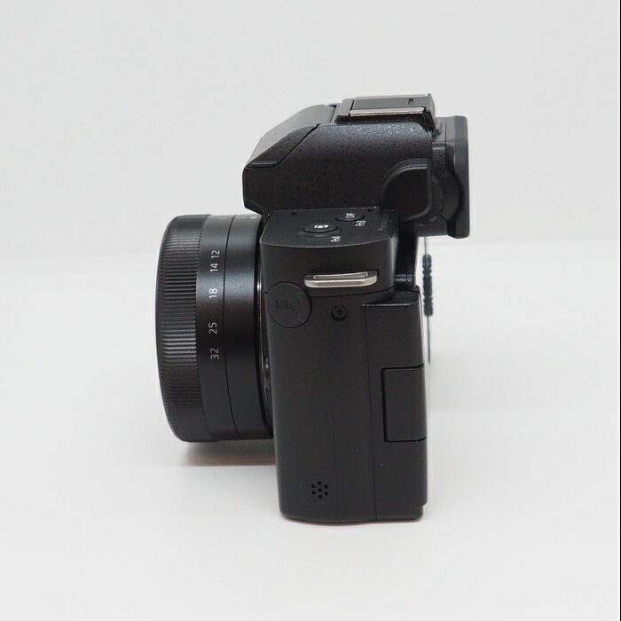 ����š� (�ѥʥ��˥å�) Panasonic DC-G100DV-K����ť���� �ǥ�������� ��󥯡�AB