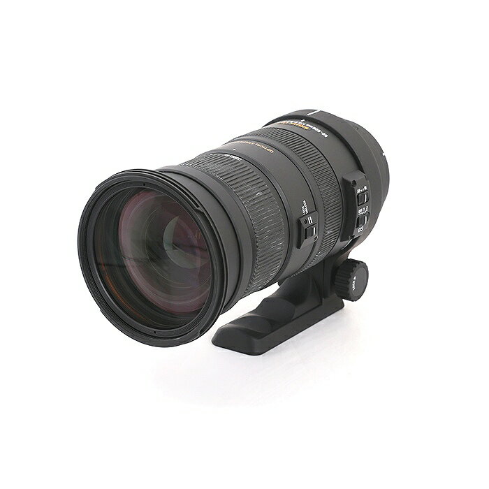 楽天市場】シグマ apo 50 500mm キャノン用の通販 楽天市場】シグマ apo 50 500mm キャノン用の通販