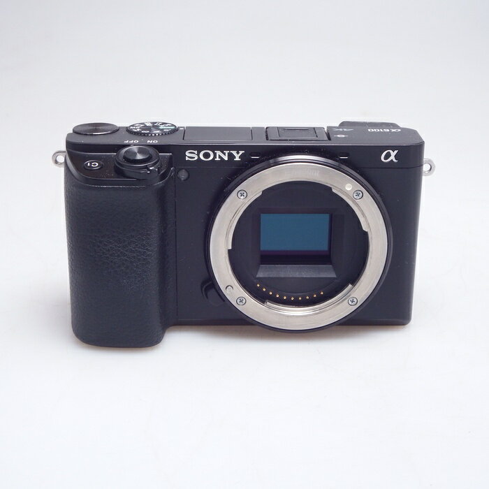 楽天市場】α6100 バッテリーの通販