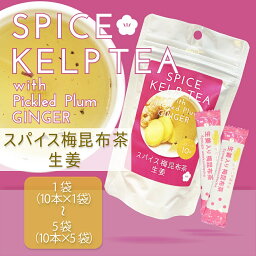 生姜入り梅昆布茶10袋入り（10杯分） レシピ入り 高知県産黄金生姜使用 紀州南高梅 北海道産真昆布使用 生姜 スティック梅昆布茶 生姜パウダー 生姜粉末 生姜調味料 スパイス梅昆布茶 浪花昆布茶本舗 なに和ショップ なにわしょっぷ