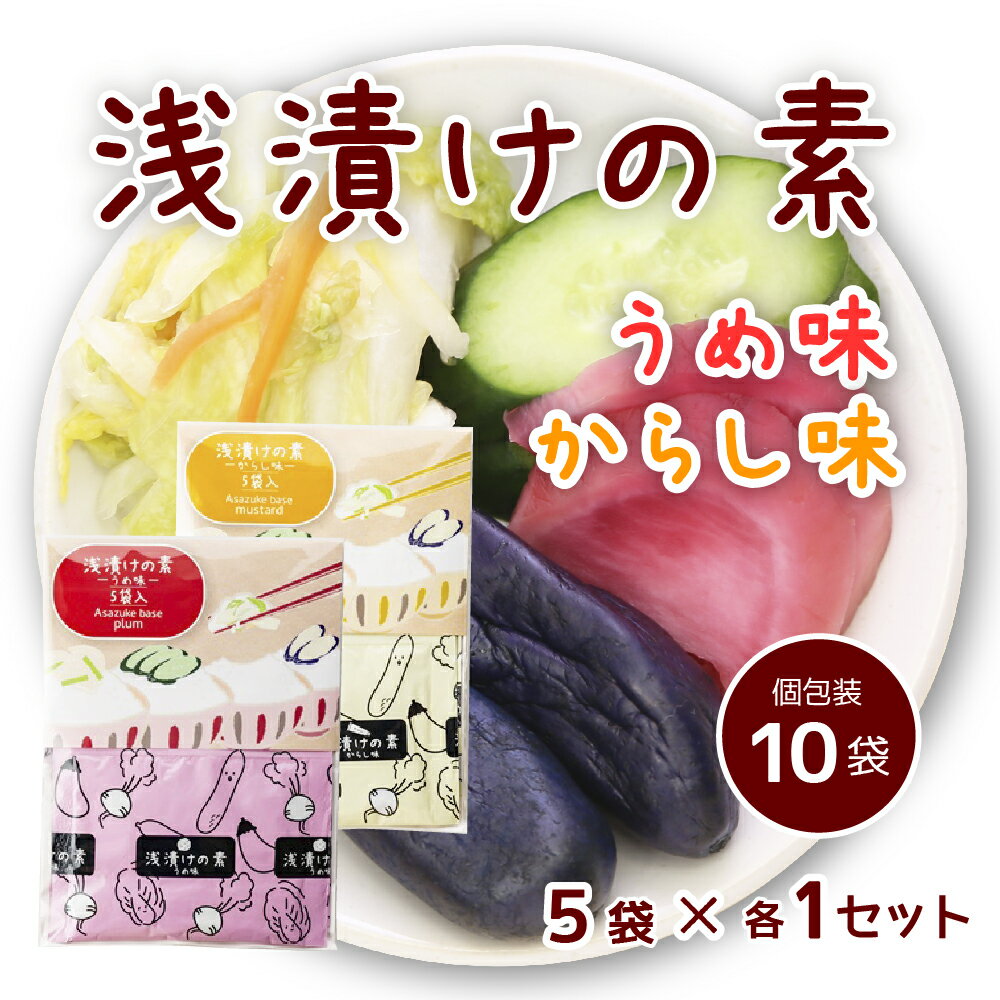 浅漬けの素 お試し2種セット うめ からし 10回分 お漬物 野菜漬け からし漬け 梅漬け 便利 粉末 送料無料 1000円ポッキリ