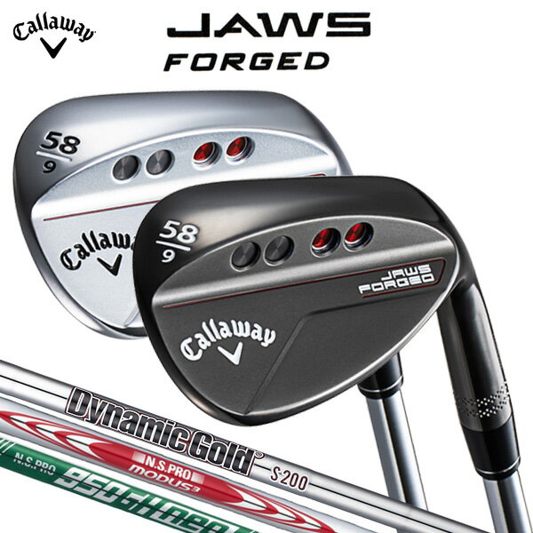 LEFC JAWS FORGED EFbW  {Ki  Wi  W[Y tH[Wh Dynamic Gold   N.S.PRO MODUS3 TOUR115   N.S.PRO 950GH neo