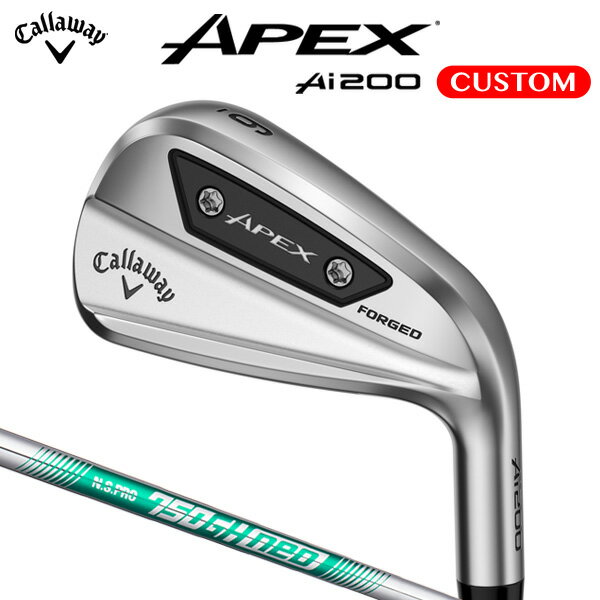 キャロウェイ APEX Ai200 アイアン 6本セット（#5～9,PW） N.S.PRO 750GH neo スチールシャフト （日本正規品） 【カスタムオーダー】