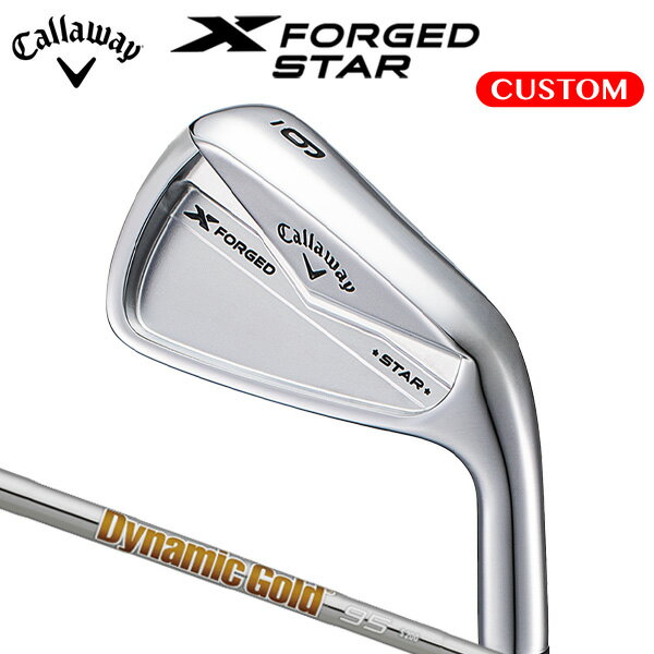  X FORGED STAR  ñʡ#4 Dynamic Gold 95 륷ե ʡ ڥ४
