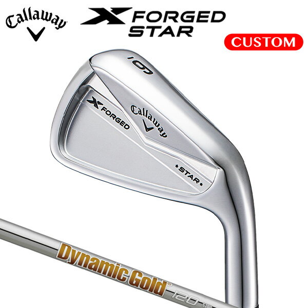 LEFC X FORGED STAR ACA 6{Zbg #5`9,PW  Dynamic Gold 120 X`[Vtg  {Ki   JX^I[_[ 