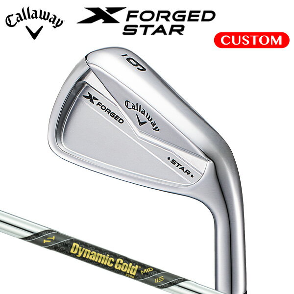 LEFC X FORGED STAR ACA 6{Zbg #5`9,PW  Dynamic Gold MID 115 X`[Vtg  {Ki   JX^I[_[ 