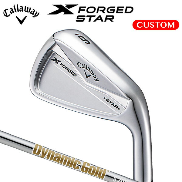  X FORGED STAR  ñʡ#4 Dynamic Gold HT 륷ե ʡ ڥ४