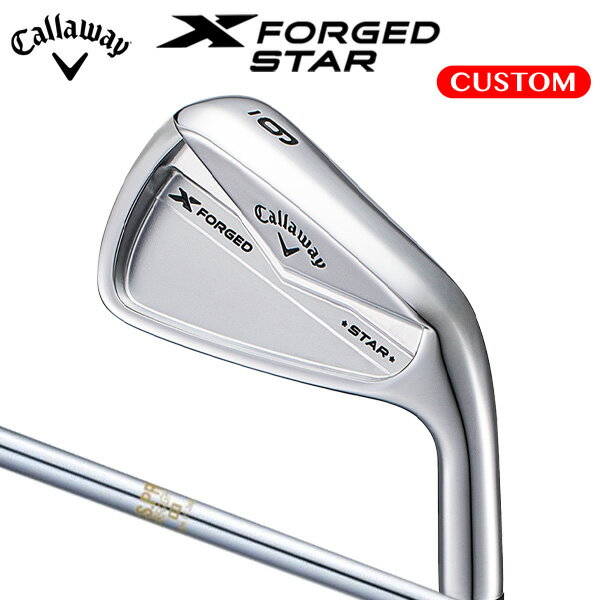  X FORGED STAR  ñʡ#4 N.S.PRO 850GH 륷ե ʡ ڥ४