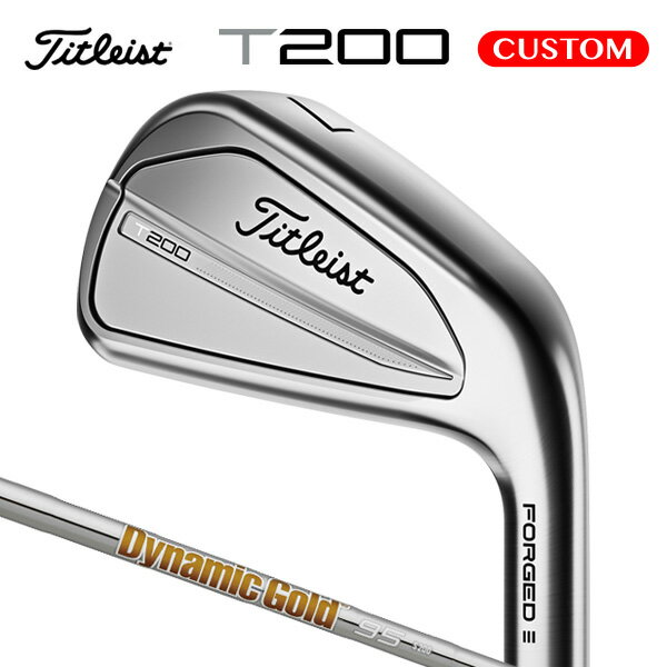 タイトリスト T200 アイアン 6本セット（#5～9,P） Dynamic Gold 95 スチールシャフト（日本正規品） 【カスタムオーダー】 T200
