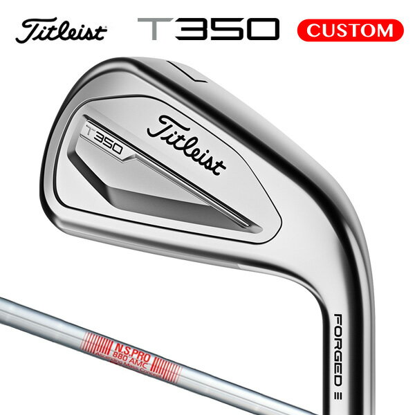 タイトリスト T350 アイアン 単品（#4,#5,W2） N.S.PRO 880 AMC スチールシャフト（日本正規品） 【カスタムオーダー】 T350