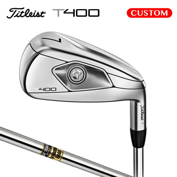 タイトリスト T400 アイアン 5本セット（#7～9,P,W） Dynamic Gold スチールシャフト（日本正規品） 【カスタムオーダー】