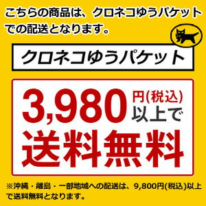 【即納】 ノーブル　サポーター　美胸バストアップブラ（レディース）