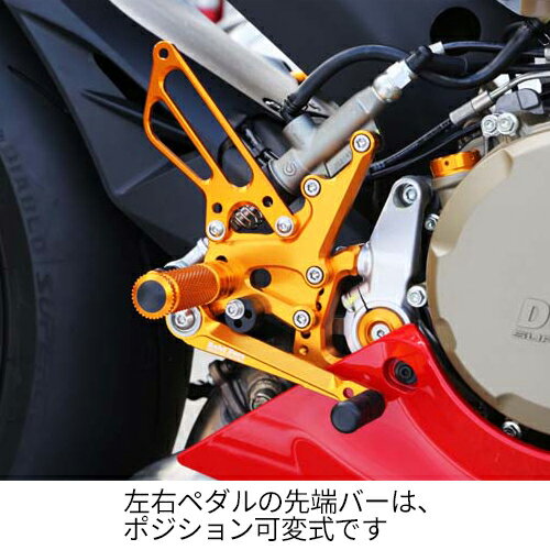 【超ポイントバック祭期間中ポイント3倍】【BABY FACE・ベビーフェイス】1299/1199/899 PANIGALE用バックステップキット　002-D019**d　002-D019GDd　ゴールド