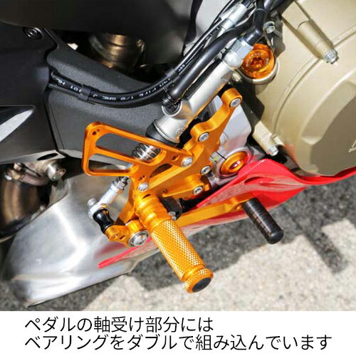 【超ポイントバック祭期間中ポイント3倍】【BABY FACE・ベビーフェイス】1299/1199/899 PANIGALE用バックステップキット　002-D019**d　002-D019GDd　ゴールド