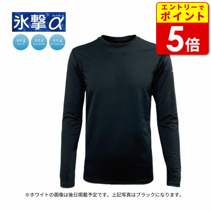 フリーズテック 氷撃α 長袖クルーネック(25151309-15_29-35) バイク ウエア