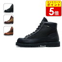 【エントリーで当店P5倍!お買い物マラソン期間中】ダナー DANNER FIELD (D121003) メンズ