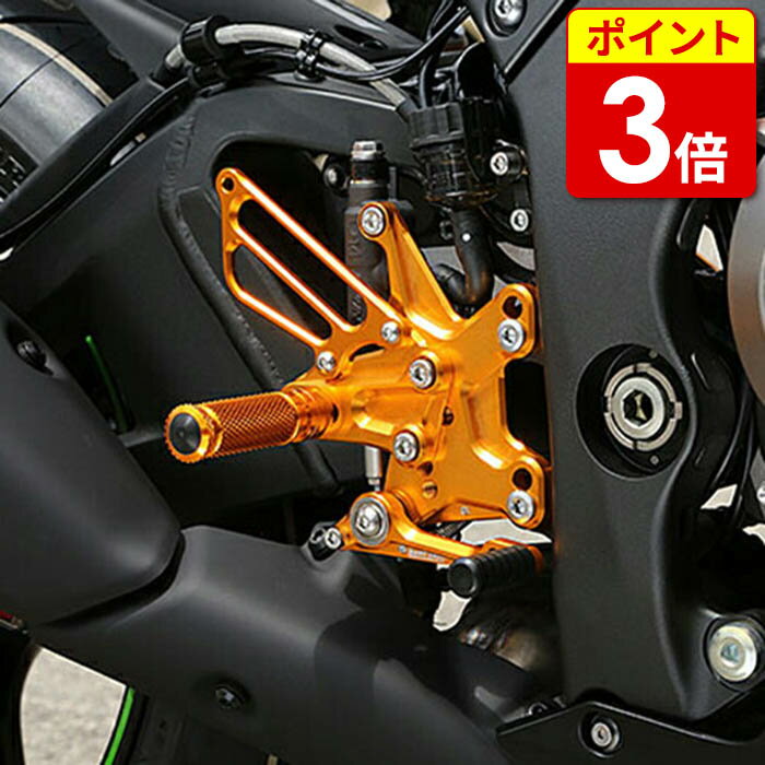 【当店P3倍!お買い物マラソン期間中】 BABY FACE ベビーフェイス ZX10R('16-19)ステップキット ゴールド 002-K028GD(4589981465863)