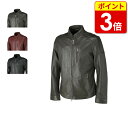 【P3倍!お買い物マラソン期間中】ライズ RR01 RR VANQUISH JACKET(襟なし)