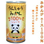 ナンカイみかんジュース１００％１９０ｇ／３０缶