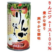 ナンカイりんごジュース１００％１９０ｇ／３０缶