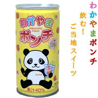 ナンカイわかやまポンチ（果汁４０％）１９０ｇ／３０缶