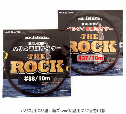 Mr.IshidaiʥߥTHE ROCK (磻䡼)