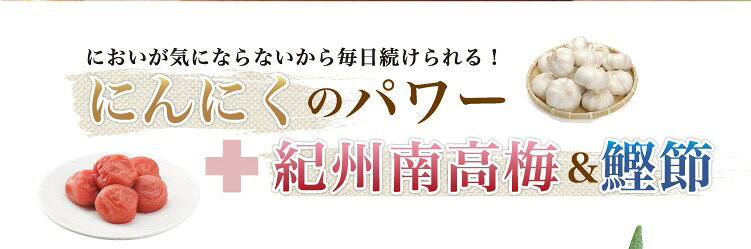 地元の人気梅屋さん 紀の里食品 梅にんにく 250g ・紀州南高梅と焼津産かつお節で仕上げた香味豊かな逸品 ご家庭用やご友人、釣り仲間などにも nankiya00-10034755 釣具の通販 南紀屋楽天市場店 サンプル画像3