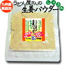 うどん屋さんの生姜パウダー 20g　国産 生姜 天日干し 生姜パウダー 生姜粉 無添加 手づくり